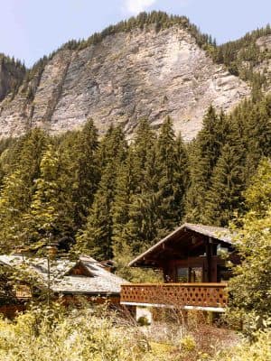 Alpine Log Cabin - Exterior
